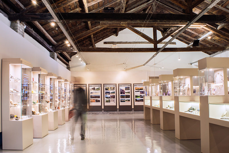 ARISTOTLE MUSEUM OF NATURAL HISTORY